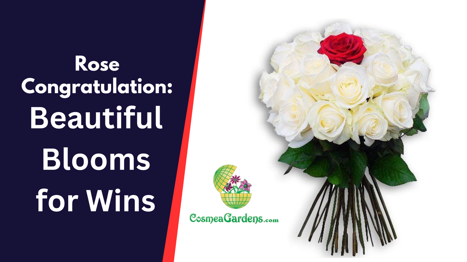 Rose Congratulations: Beautiful Blooms for Wins